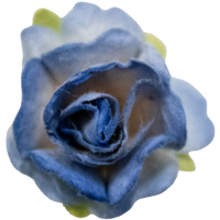5 Crazy Ladies Flower Packs - Roses extra small