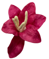 5 Crazy Ladies Flower Packs - Lillies Small 5 pk
