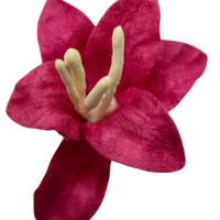 5 Crazy Ladies Flower Packs - Lillies Small 5 pk
