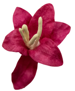 5 Crazy Ladies Flower Packs - Lillies Small 5 pk