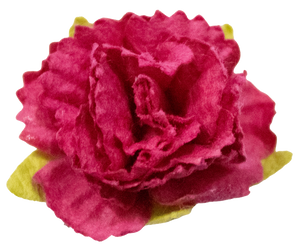 5 Crazy Ladies Flower Packs - Carnations 5 Pack