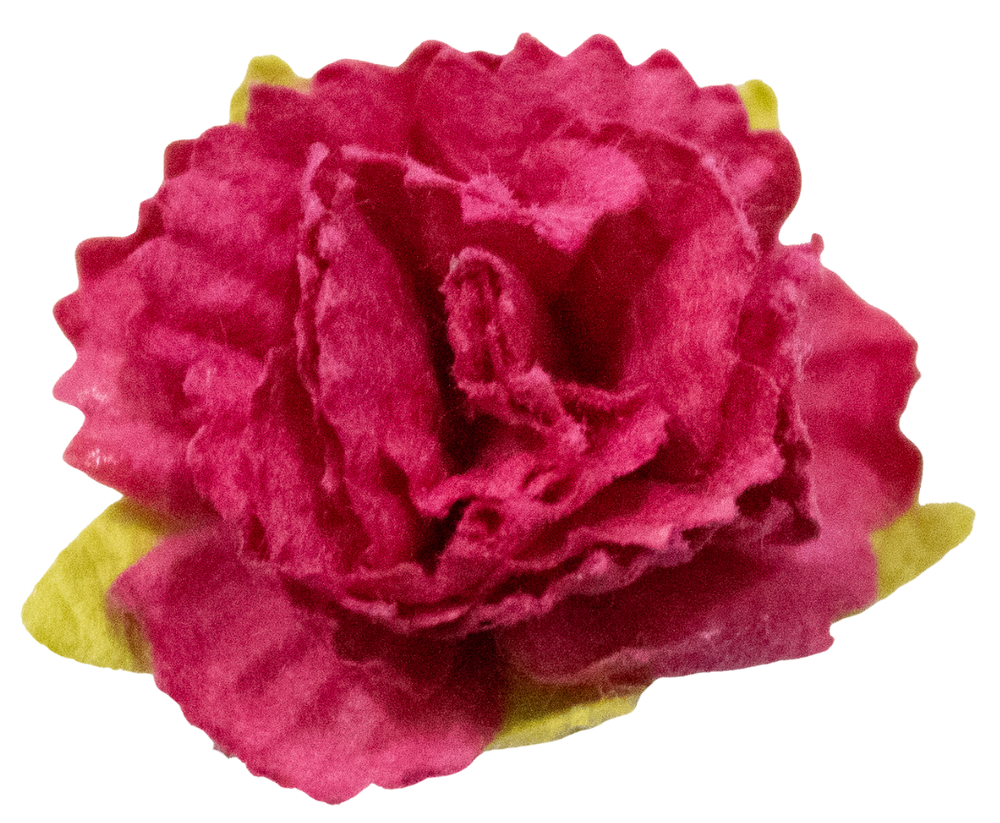 5 Crazy Ladies Flower Packs - Carnations 10 Pack