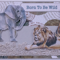 My Happy Place Card Kit - Wild Animals