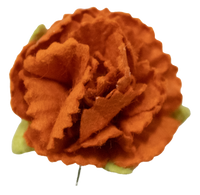 5 Crazy Ladies Flower Packs - Carnations 10 Pack
