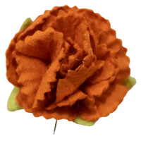 5 Crazy Ladies Flower Packs - Carnations 10 Pack