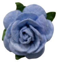 5 Crazy Ladies Flower Packs - Small Roses
