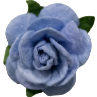 5 Crazy Ladies Flower Packs - Small Roses