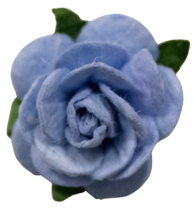 5 Crazy Ladies Flower Packs - Small Roses