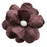 5 Crazy Ladies Flower Packs - Fluffy Blossom Small 5pk
