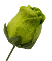 5 Crazy Ladies Flower Packs - Rose Buds 10pk
