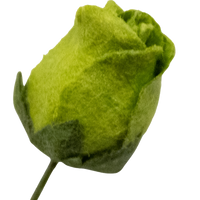 5 Crazy Ladies Flower Packs - Rose Buds 10pk
