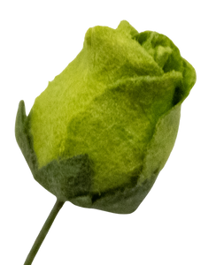 5 Crazy Ladies Flower Packs - Rose Buds 10pk