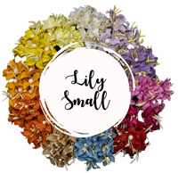 5 Crazy Ladies Flower Packs - Lillies Small 5 pk
