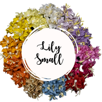 5 Crazy Ladies Flower Packs - Lillies Small 5 pk