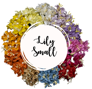 5 Crazy Ladies Flower Packs - Lillies Small 5 pk