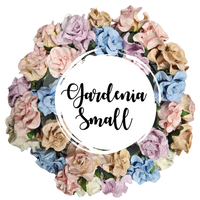 5 Crazy Ladies Flower Packs - Gardenia Small
