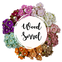 5 Crazy Ladies Flower Packs - Wood Sorrels