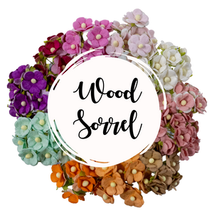 5 Crazy Ladies Flower Packs - Wood Sorrels