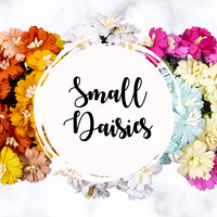 5 Crazy Ladies Flower Packs - Daisies Small 5 pk