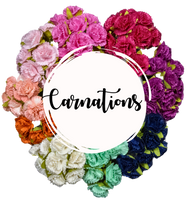 5 Crazy Ladies Flower Packs - Carnations
