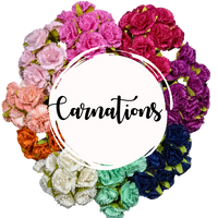 5 Crazy Ladies Flower Packs - Carnations 10 Pack