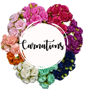 5 Crazy Ladies Flower Packs - Carnations 5 Pack