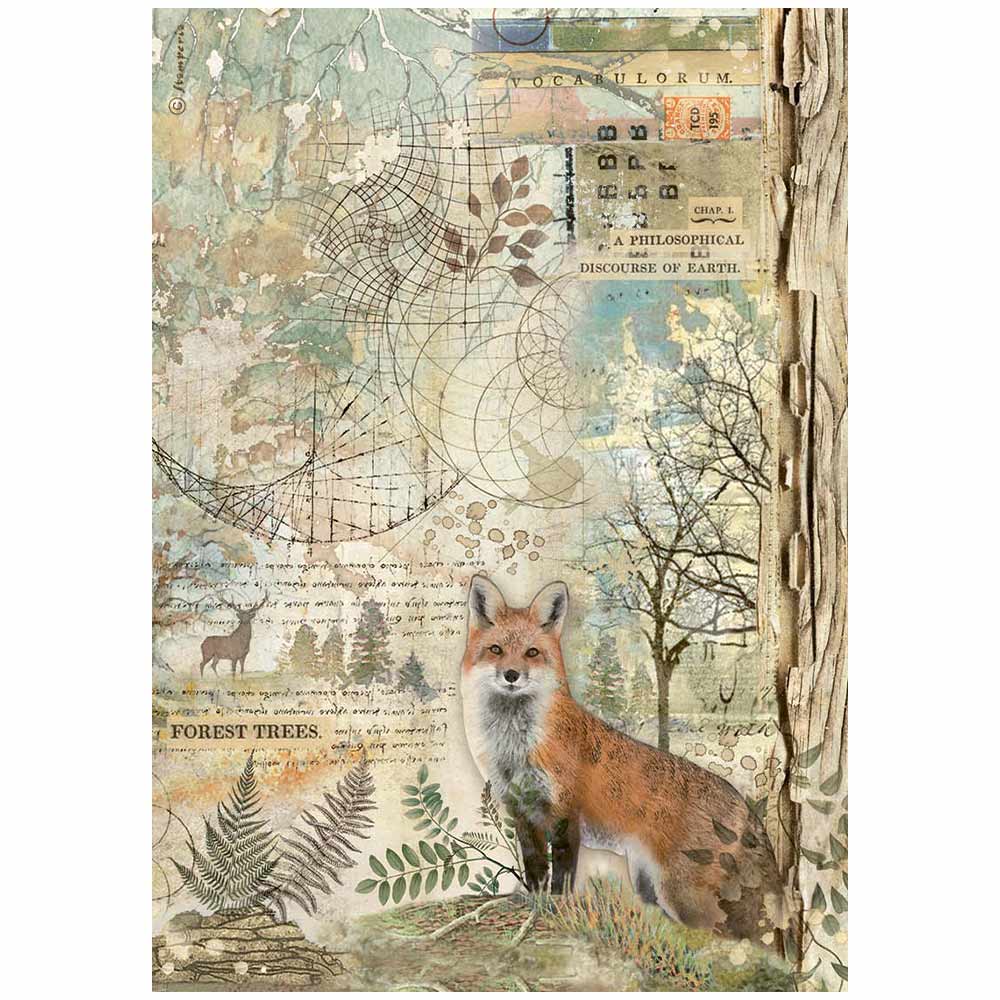 Stamperia A4 Rice Paper - Forest - Fox