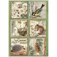 Stamperia A4 Rice Paper - Forest - 6 Cards