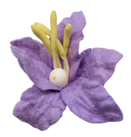 5 Crazy Ladies Flower Packs - Lillies Small 10 pk
