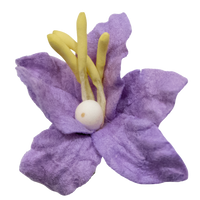 5 Crazy Ladies Flower Packs - Lillies Small 10 pk
