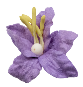 5 Crazy Ladies Flower Packs - Lillies Small 10 pk