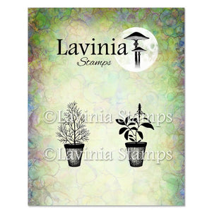 Lavinia Stamp Set - Dill & Sage Pots