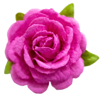 5 Crazy Ladies Flower Packs - Roses 10pk
