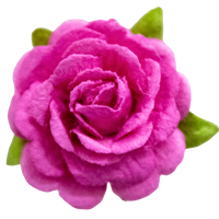 5 Crazy Ladies Flower Packs - Roses 10pk