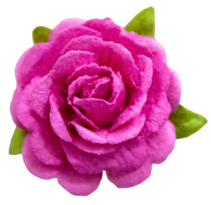 5 Crazy Ladies Flower Packs - Roses 10pk