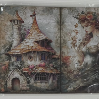 5 Crazy Ladies Journal Papers A5 - Fairy Fantasy