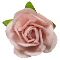 5 Crazy Ladies Flower Packs - Small Roses