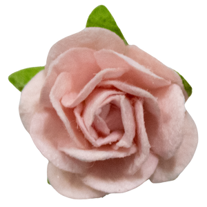 5 Crazy Ladies Flower Packs - Small Roses