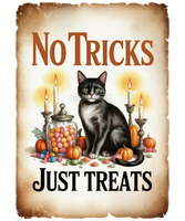 5 Crazy Ladies Stickers - Halloween Sentiments
