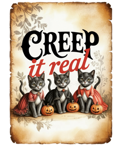 5 Crazy Ladies Stickers - Halloween Sentiments