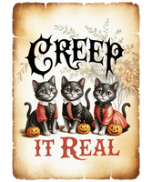5 Crazy Ladies Stickers - Halloween Sentiments
