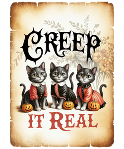 5 Crazy Ladies Stickers - Halloween Sentiments