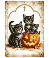 5 Crazy Ladies Stickers - Halloween Sentiments

