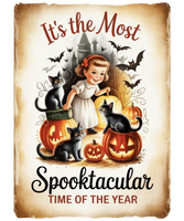 5 Crazy Ladies Stickers - Halloween Sentiments
