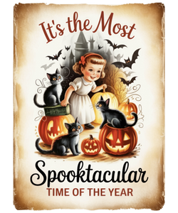 5 Crazy Ladies Stickers - Halloween Sentiments