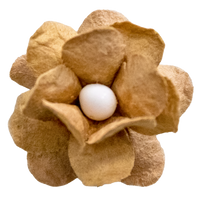 5 Crazy Ladies Flower Packs - Fluffy Blossom Small 5pk