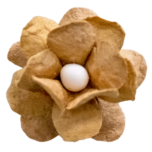 5 Crazy Ladies Flower Packs - Fluffy Blossom Small 5pk