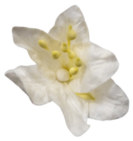 5 Crazy Ladies Flower Packs - Lillies Large 5 Pk
