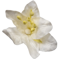 5 Crazy Ladies Flower Packs - Lillies Large 5 Pk