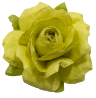 5 Crazy Ladies Flower Packs -Large Rambling Roses - 5 pack
